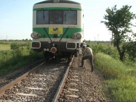 O bihoreancă a murit lovită de tren în timp ce culegea măceşe